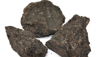 干漆的功效与作用 干漆的功效与作用点