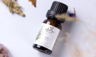 丝柏精油的功效 丝柏精油的功效与用法
