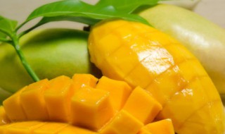 小台芒是几月份的水果（小台芒几月份到几月份）