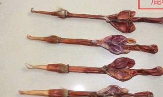 鹿鞭片的功效与作用吃法（鹿鞭的功效与作用吃法）