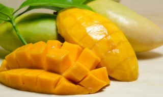 小台芒果什么时候成熟（小台芒果几月份成熟）