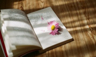 2022二月第一天的早安心情说说 早安二月份第一天心情说说