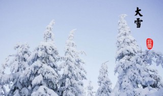 关于大雪节气的诗句有哪些 大雪节气有关的诗词