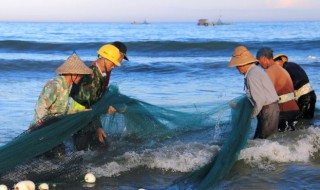 黑鱼身上的粘液能吃吗(黑鱼表面上的粘液吃了会怎样)