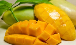 怀孕可以吃芒果不（怀孕可以吃芒果不?早期）