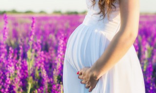 孕妇不可以吃哪些水果以及食物 孕妇不能吃哪些食物水果