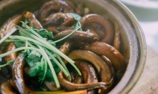 烧熟的鳝鱼过夜能吃吗（煮熟的鳝鱼过夜可以吃吗）