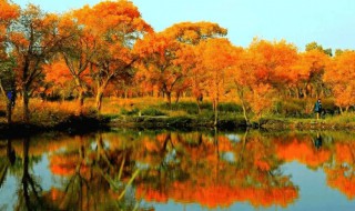 喀什旅游景点大全（喀什地区旅游景点大全）