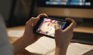 御龙在天名字（御龙在天名字特殊符号）