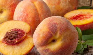 白凤桃几月熟（白桃几月份成熟）