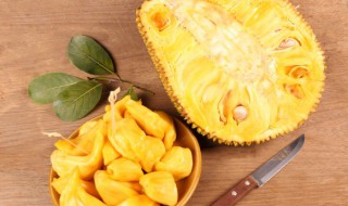 jackfruit是什么水果