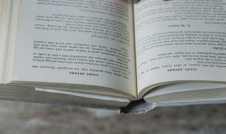 带君的霸气名字 带君的霸气名字三个字