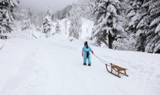 2022北京冬奥会标志 2022北京冬奥会标志设计说明