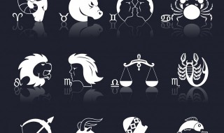 二月初九是什么星座 1995年二月初九是什么星座