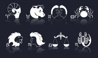 12.31是什么星座 20031231是什么星座