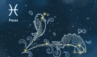 9月6号是什么星座（2022年9月6号是什么星座）