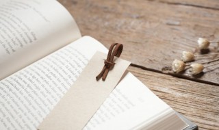 数学名句（数学名句大全）