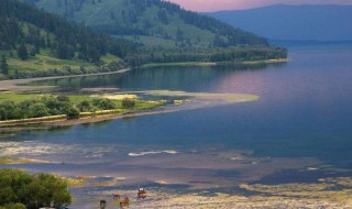 世界上最长的内流河流 世界上最长的内流河河流