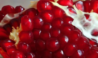 石榴什么季节开花（石榴什么季节开花是夏天吗）