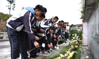清明节扫墓的由来（清明节扫墓的由来简短）