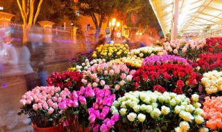 什么花不开花 什么花不开花也有香味