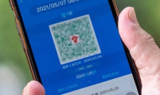 黄码红码什么意思 黄码红码是什么样子