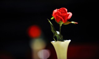 国际妇女节的由来(国际妇女节的由来,背景)