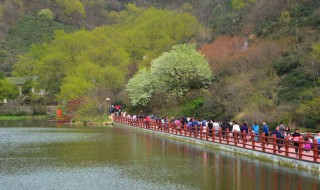 信阳市著名景点介绍（信阳有名的景点介绍）