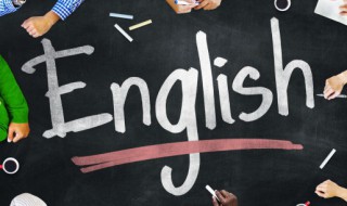 habbit与habit区别（habby与habit的区别）