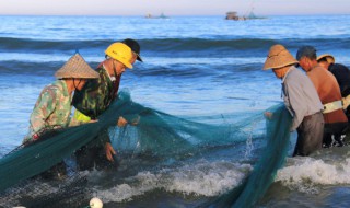 海鱼为什么那么咸 为什么有些海鱼咸有些不咸