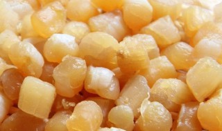 干贝能每天吃吗（干贝经常吃好吗）