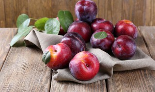 李子树怎么剪枝(三年的李子树怎么剪枝)