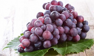 葡萄如何剪枝才好(葡萄怎么剪枝)