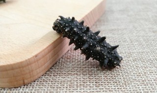 海参哪些人不宜吃海参（哪些人不能吃海参）