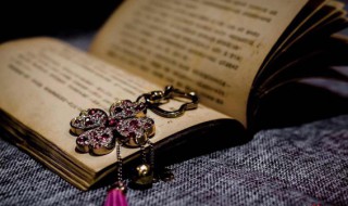 卜能组什么词 补能组什么词