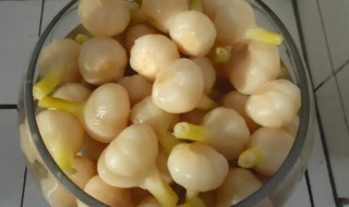 泡糖蒜用什么醋 泡糖醋蒜用什么醋