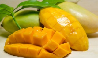 吃芒果过敏有哪些症状 吃芒果过敏有哪些症状图片