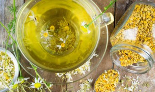 喝菊花茶的好处和坏处 孕晚期喝菊花茶的好处和坏处