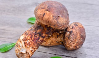 吃姬松茸有什么好处 姬松茸怎样吃才能发挥最大功效