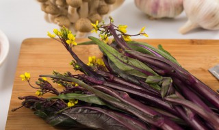 红菜苔嘌呤高吗 红菜苔的嘌呤高吗