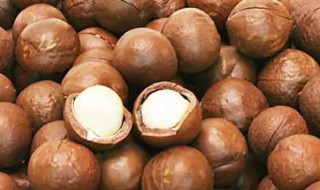 减肥期间吃夏威夷果会胖吗（吃夏威夷果会不会胖）