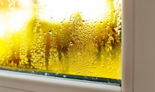 加湿器里加自来水对人体有危害吗 加湿器里加自来水有什么危害