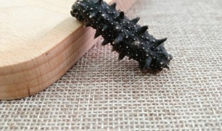 海参刺尖好还是圆好（海参刺圆滑的好还是尖的好）