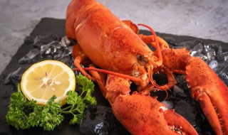 大龙虾头部绿色能吃吗(大龙虾里面的绿色能不能吃)