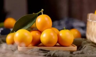 金桔吃了嘴麻是怎么回事 金桔吃多了嘴麻是怎么回事