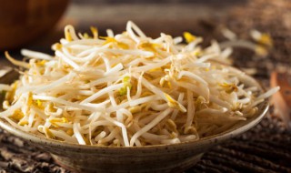 绿豆芽根须可以吃吗（自己生的绿豆芽根须可以吃吗）
