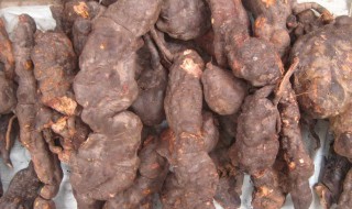 何首乌的营养价值及功效 何首乌的营养价值