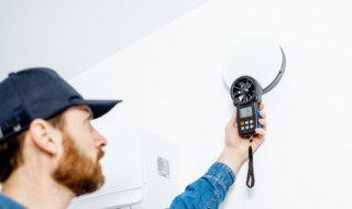 什么植物除甲醛效果最好最快 新房什么植物除甲醛效果最好最快