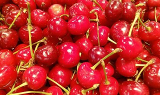 黄车厘子和红车厘子的区别（黄车厘子和红车厘子营养价值）