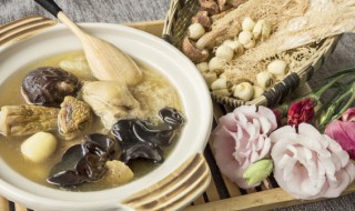 茶树菇乌鸡汤的禁忌(滋补乌鸡汤可以加茶树菇没)